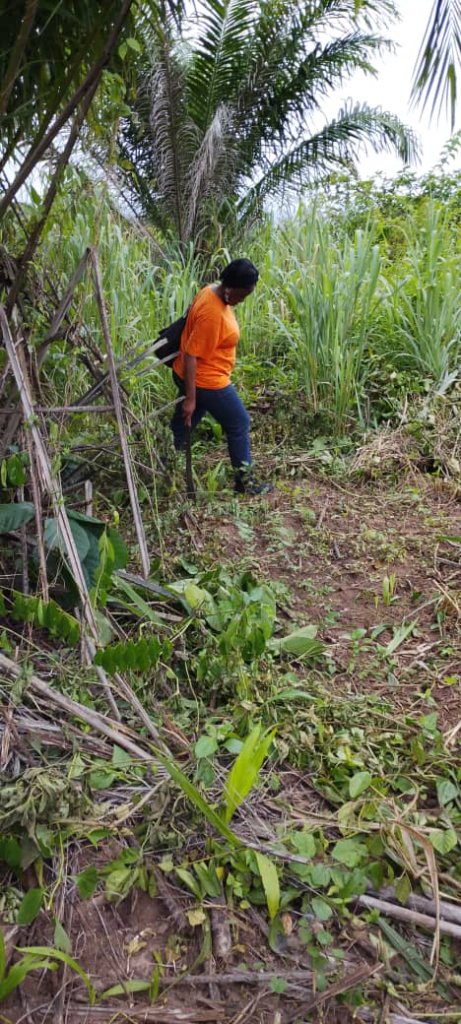 Tending the Fields